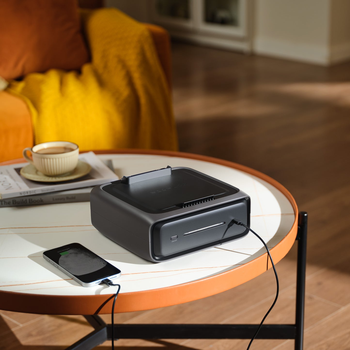EcoFlow EB300